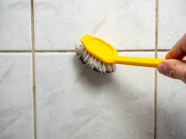 Best Residential Mold Removal  in Defuniak Springs, FL