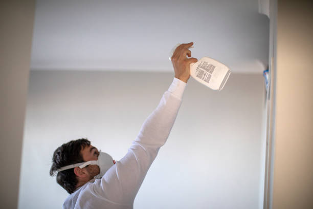 Best Residential Mold Removal  in Defuniak Springs, FL