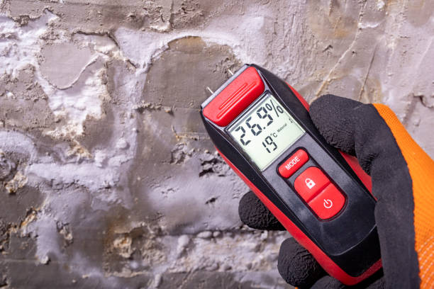 Mold Removal and Inspection in Defuniak Springs, FL