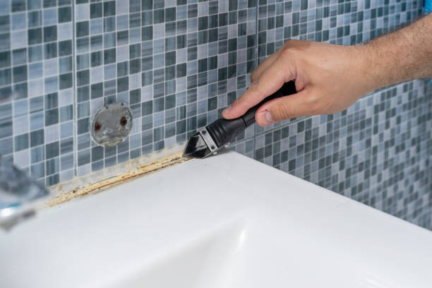 Mold Testing and Removal in Defuniak Springs, FL