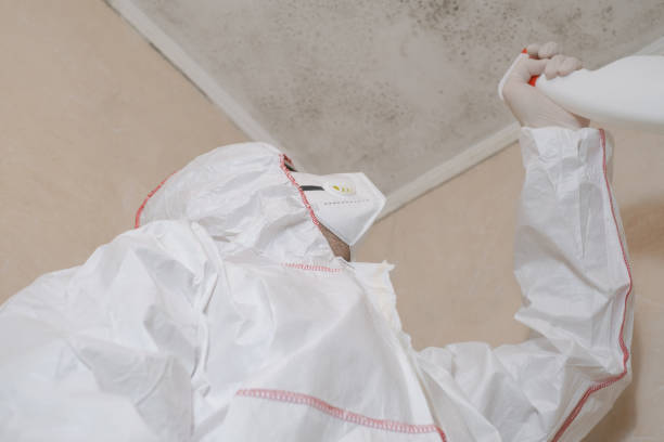 Mold Removal Process in Defuniak Springs, FL