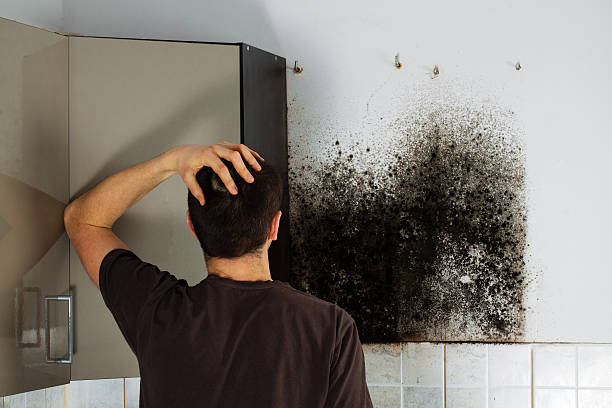 Best Mold Cleaning Services  in Defuniak Springs, FL
